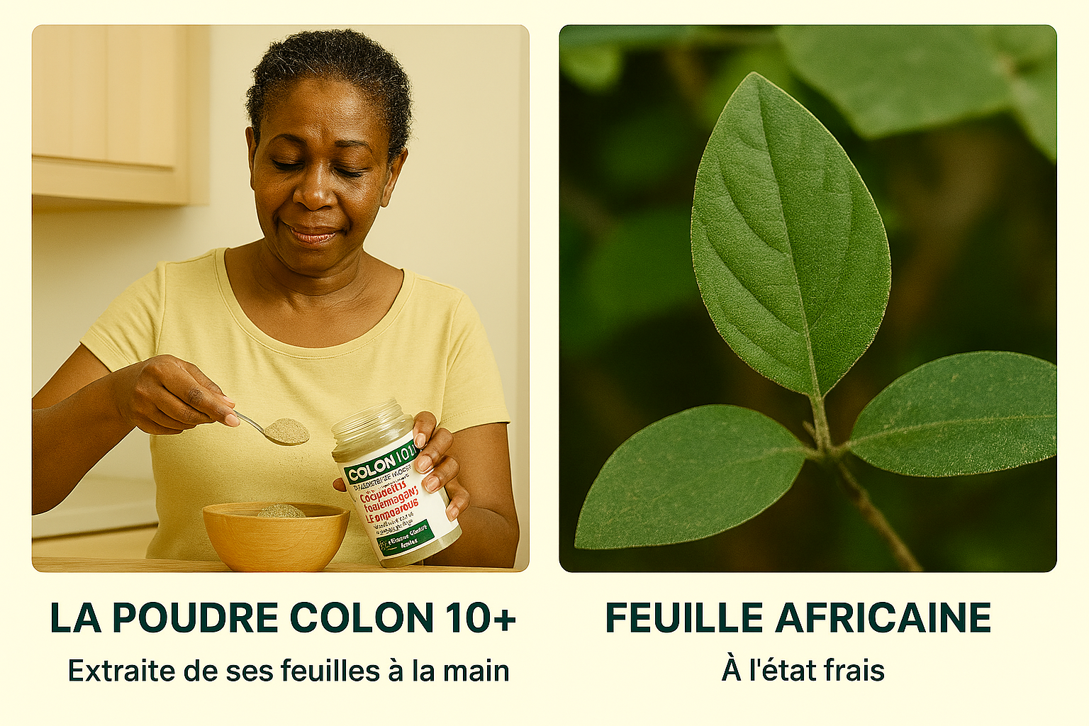 Préparation de l'infusion